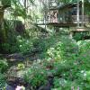 Treetops Accommodation Montville,Flaxton>>Caloundra,4.5 star