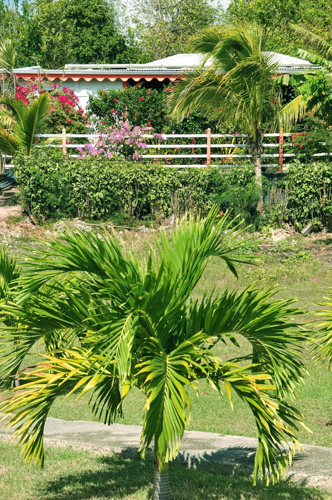 Hotel Le Soleil Levant,Capesterre-De-Marie-Galante>>Capesterre-Belle-Eau,3 star