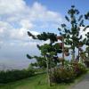 The Jerai Hill Resort,Gurun>>Alor Setar,3 star