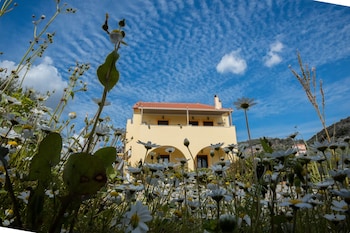 elaionas studios