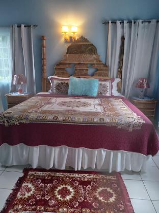 pink hibiscus guest house