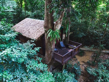 our jungle house