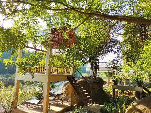 rain forest resort phitsanulok