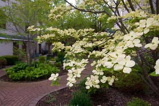 hampton inn and suites rochester victor