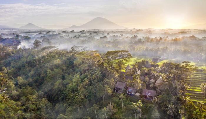 blue karma dijiwa ubud