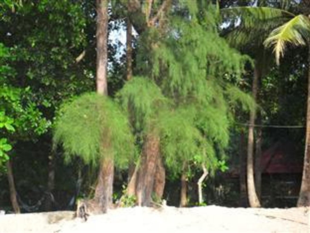 Racha Sunset Resort (Koh Siboya),Ideally Located In The Prime Touristic Area Of Koh Sriboya, Racha Sunset Resort (Koh Siboya) Promise,2 star