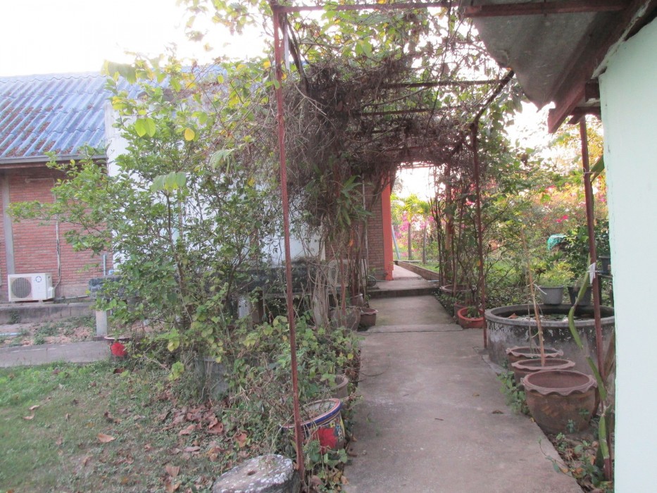 Moutain View Guest House,Mueang Sukhothai>>Mueang Kao,2.5 star