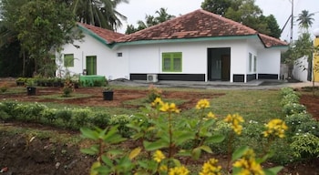 green banana mirissa