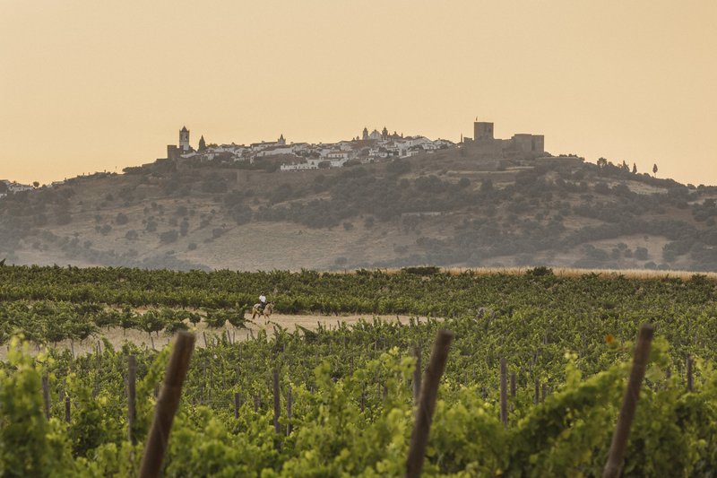 São Lourenço Do Barrocal,Reguengos De Monsaraz>>Monsaraz,5 star