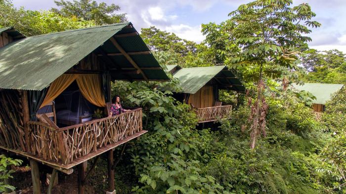 La Tigra Rainforest Lodge,El Fosforo>>Alajuela,3 star