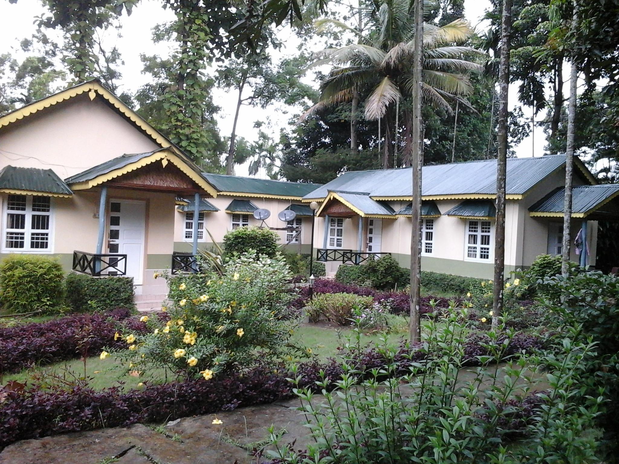 tuskers den forest resort