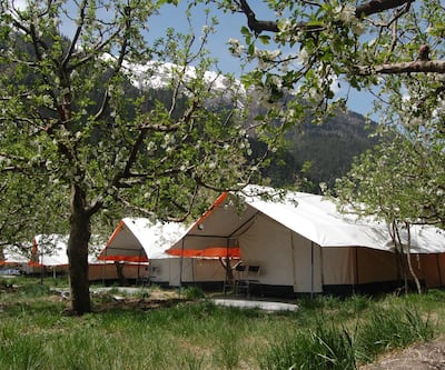 Apple Orchard Farm And Camping,Batseri,2 star