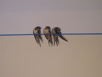 bandb a casa delle fate