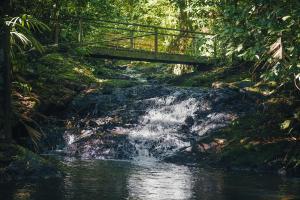 Termales Del Bosque,Alajuela Province>>Alajuela,3 star