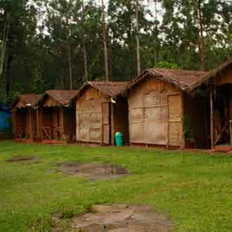 deep jungle home