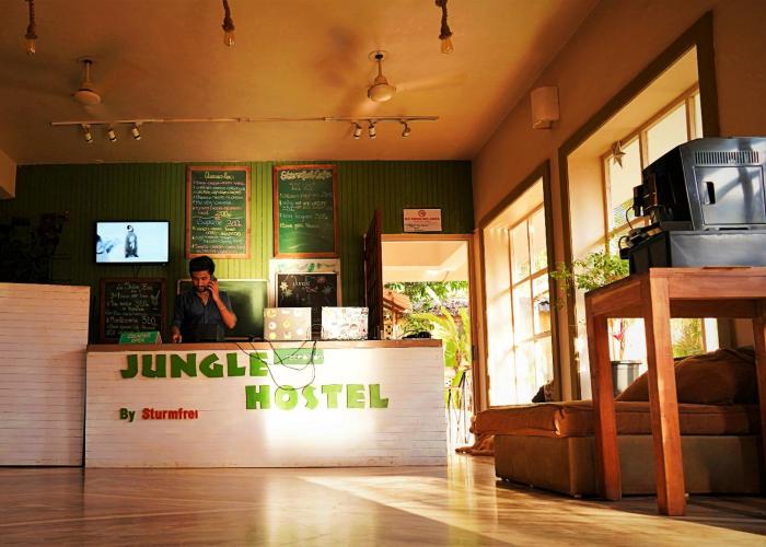 Jungle Hostel