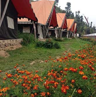 camp o royale