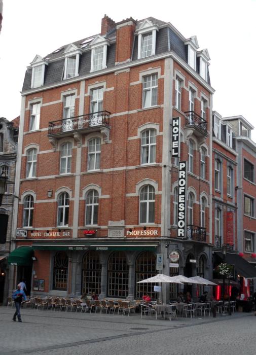 hotel professor