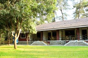 pinewood resort