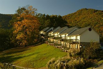 Kingwood Resort