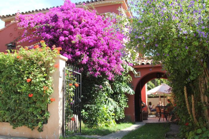 el arbol hostel