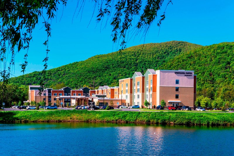 Springhill Suites By Marriott Fishkill,Dutchess County>>Beacon,3 star