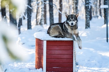 Northern Lights Village,Ivalo>>Inari,4 star