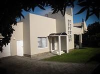 the seagull hermanus