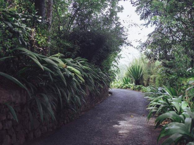 villa republic bandarawela