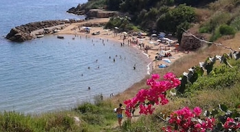Hotel Residence Florida,Calabria>>Anastasi Iii,2 star