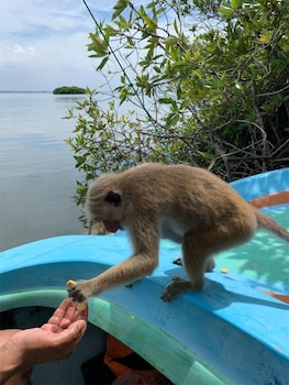 Karunakarala Ayurveda Spa And Resort,Minuwangoda>>Kammala,3.5 star