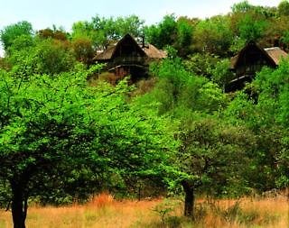 Tshukudu Bush Lodge