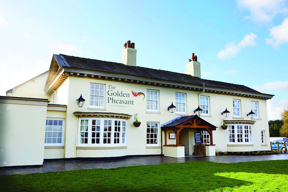 the golden pheasant