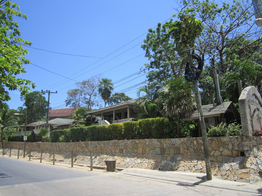 coconut tree west end