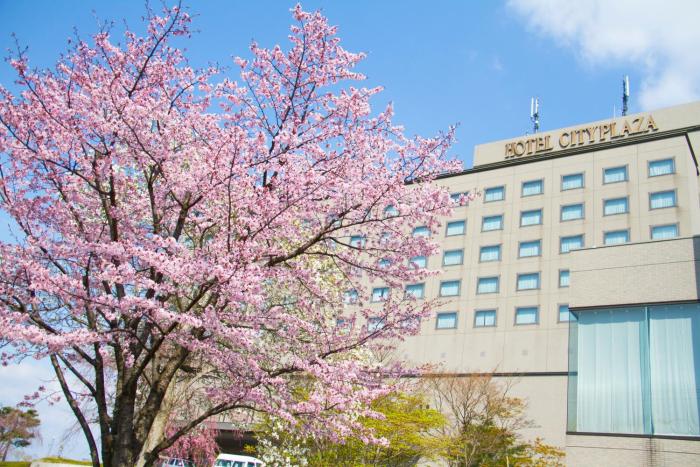 Hotel City Plaza Kitakami,Iwate>>Hanamaki,4 star