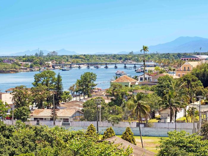 ibis paranagua
