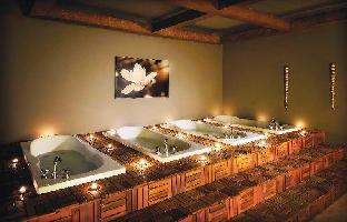 bof hotels uludag ski and convention resort