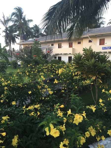 Oceanic Bay Hotel & Resort,Dar Es Salaam>>Bagamoyo,3.5 star