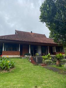 buyan resort