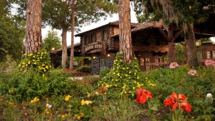 the cabins at disneys fort wilderness resort