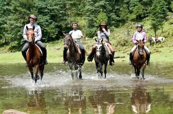rancho reencuentro eco hotel and cabalgatas