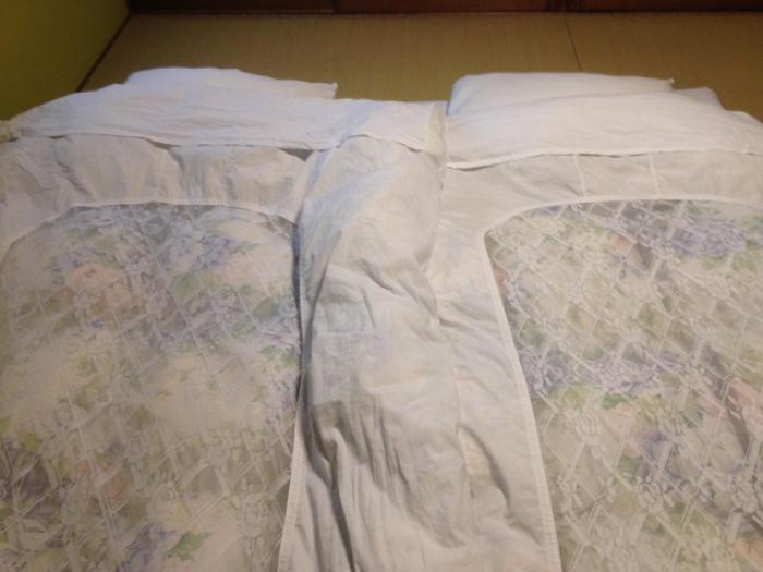 Chuoukan Shimizuya Ryokan,,2 star