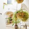 Gh Dimora Sant'anna,Carovigno>>Brindisi,4 star