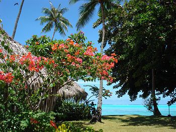 hotel hibiscus