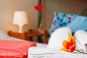 santangela hostel and rooms