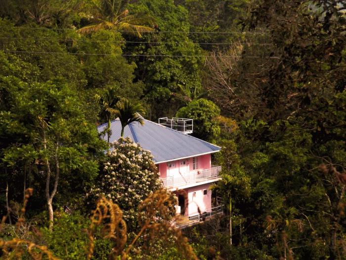 Drizzle Valley Cottage