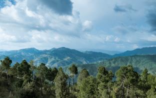 The Kumaon,Bageshwar>>Almora,4 star