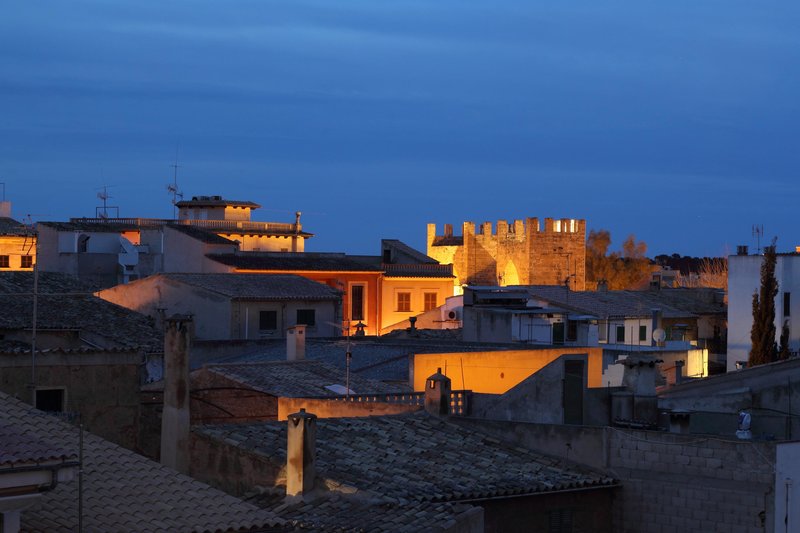 alcudia petit