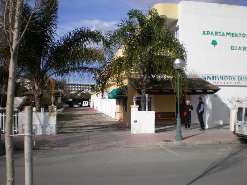 apartamentos olive beach