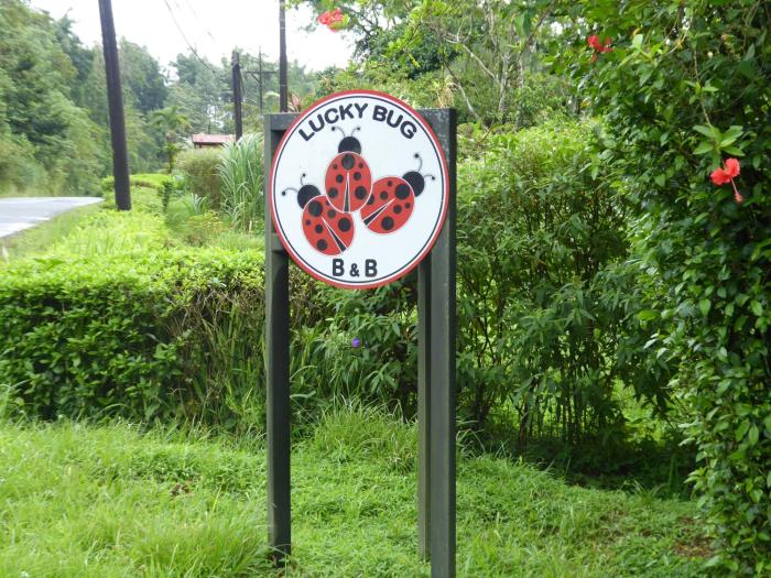 Lucky Bug B & B,Guanacaste>>Arenal,3 star